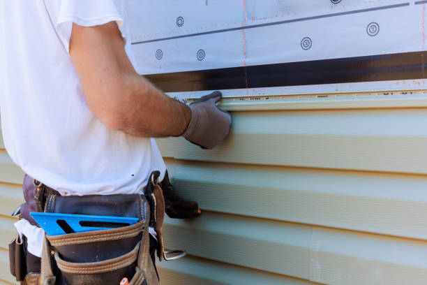 Best Fascia and Soffit Installation  in Merian, ID