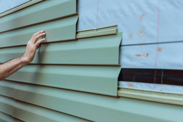 Best Vinyl Siding Installation  in Merian, ID